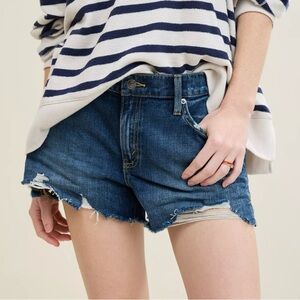 Aerie Denim Shorts